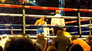 Gennady Golovkin vs Marco Antonio