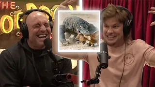 Theo Von and Joe Rogan: DEADLY Animals and Theo ATE an Aardvark