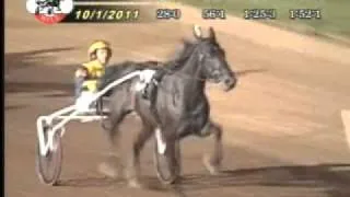 Allerage Farms Open Trot 2011 -San Pail