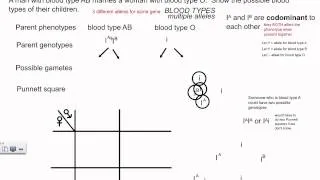 Genetic Crosses - Multiple Alleles, Blood Types (IB Biology)