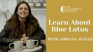 Learn About Blue Lotus With Adriana Ayales At The Alchemist's Kitchen