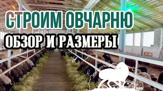 Строим овчарню: обзор и обустройство