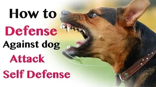 How to Defend against Dog Attack - Self Defence