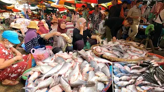 Cambodian Wet Market Lifestyle Scenes & Activities - Fish, Vegetables, Chicken, Meat, Pork & More