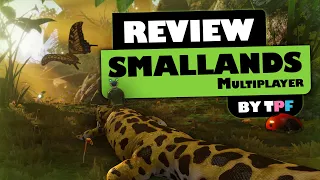 Multiplayer Review of SMALLAND: SURVIVE THE WILDS | Epic the movie meets video game?
