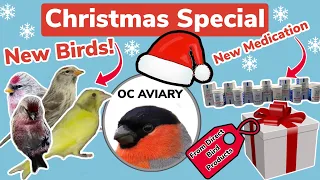 The OC AVIARY Christmas Special | *NEW* Unique Birds, Plenty of Gifts & *NEW* Avian Medication UK