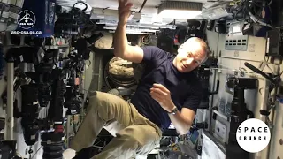 How do astronauts weight themselves in space?