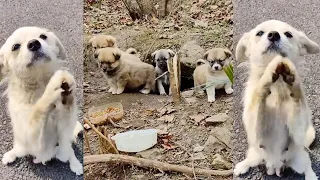 Begging for help from passersby, she just wanted some food for her 7 hungry children