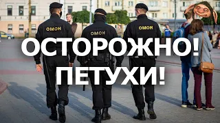 [Dobry Troll] Осторожно! Петухи! | Беларусь 2021 ОМОН милиция слабовики МВД силовики юмор