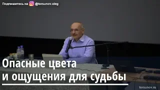 Торсунов О.Г.  Опасные цвета и ощущения для судьбы