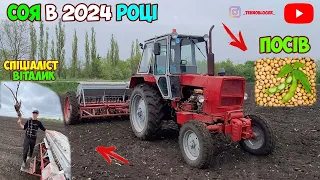 ПОСІВ СОЇ НА 15 МІЖРЯДДЯ🫛| ЮМЗ-6🚜 З СІВАЛКОЮ СЗ-3.6, ГАЗ-53🚛 | ВІТАЛИК СПІЦІАЛІСТ (рибак) 😅🧑‍🌾😁🤣