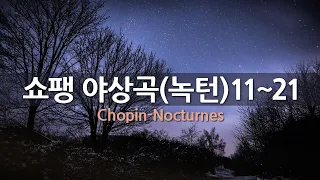쇼팽 야상곡(녹턴) 11~21 | Chopin Nocturnes 11~21 | 연주-스테판 아스케나세