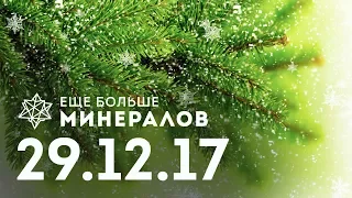 Предновогодний ЕБМ: донаты, поздравления, немного новостей. Захара с днем рождения