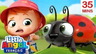 Apprendre les insectes avec Bébé Louis🐌🐛🐞Comptines pour Bébé | Little Angel Français