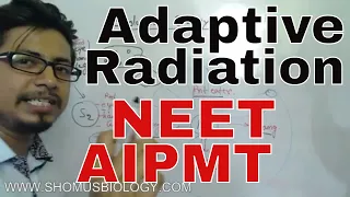 Adaptive radiation class 12 for NEET | evolution biology lecture