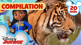 Season 3 Compilation | Disney Animals | @disneyjunior
