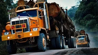 The heaviest timber truck in the world - 104 tons