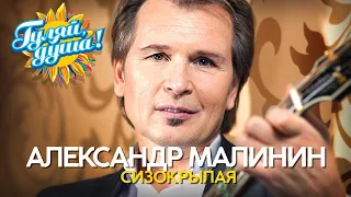 Александр Малинин - Сизокрылая - Новые песни