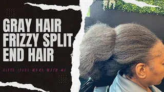 Gray hair frizzy split end hair| Work with me | $10 shampoo weekend | Elite LIVE