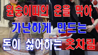 원숭이띠의 운을 막아서 가난해지는 돈이 싫어하는 옷차림