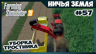 Уборка тростника и большое поле хлопка // No Man's Land - ч.57 // Farming Simulator 19