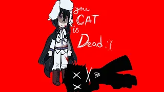 your cat is dead meme | BSD | Fyozai & DazFyo | Dazai Osamu & Fyodor Dostoevsky