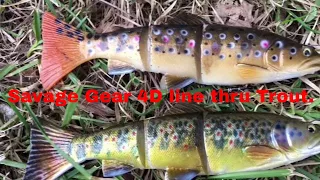 NEW Savage Gear 4D Trout unboxing and first Pike.