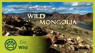 Wild Mongolia - Go Wild