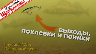 Как «раздраконить» трусливого ЗИМНЕГО СУДАКА РАТТЛИНОМ. Подводные съемки.  Зимняя рыбалка