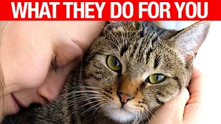 12 Amazing Things Your Cat Does for You Without You Knowing!