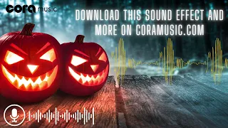 Haunted house sound effects | Spooky Halloween horror sounds