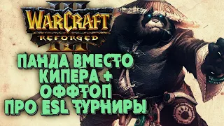 ПАНДА УВОЛИЛА КИПЕРА: Krav (Ud) vs Remind (Ne) Warcraft 3 Reforged