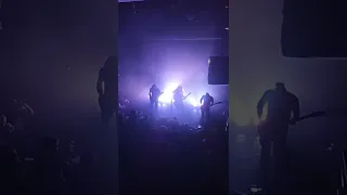 Acid Mammoth - Tree of Woe (Live)