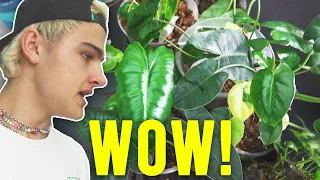 Unexpected Plant Unboxing.. Crazy Scindapsus!