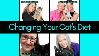 How To Transition Your Cat To A Fresh Food Diet | Round Table Live With The Experts