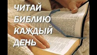 ЧИТАЮЩИЙ УРАЗУМЕЕТ  - Вячеслав Бойнецкий