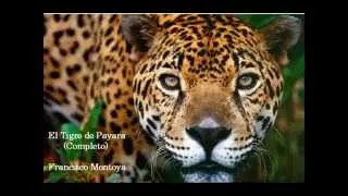 FG El Tigre de Payara (Completo - 5 Partes) -  Francisco Montoya