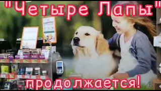 Акция ДоброЛап в сети магазинов Четыре Лапы!