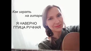 Я наверно птица ручная. Разбор. Как играть на гитаре.