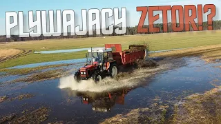 🔥PŁYWAJĄCY ZETOR?!🔥KOMPOST NA ŁĄKI🔥GR ŁAKOMY🔥ZETOR I KUBOTA W AKCJI🔥VIXA🔥