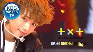 Tomorrow X Together-Blue Orangeade & Crown(어느날 머리에서 뿔이 자랐다)[Music Bank HOT DEBUT/2019.03.08]