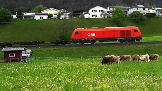 Bludenz: 1 ÖBB Hercules &🐄🐄 Kühe, 2 Railjet, 2 Talent1