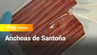 Anchoas de Santoña  - Las rutas de Ambrosio | RTVE Cocina