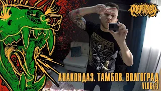 POGREBIER VLOG #7: Anacondaz в Тамбове, Limp Bizkit в Волгограде.