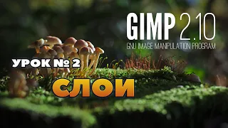 Графический редактор GIMP 2.10/Урок №2. Слои в GIMP