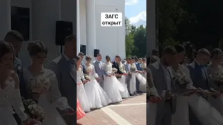 Открытие ЗАГСа в Молодечно. #молодечно #загс #открытие #свадьба