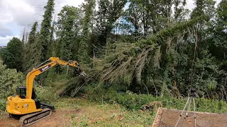 ABATTAGE D'ARBRES ET BROYEUR  SUR PELTEUSE CATERPILLAR