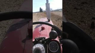 Farmall 806 gas spreading manure with international 550 spreader