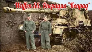 The red army against the Waffen SS. "Operation Konrad" - military history