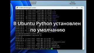 Как поставить Telegram бота написанного на Python на сервер skyhost